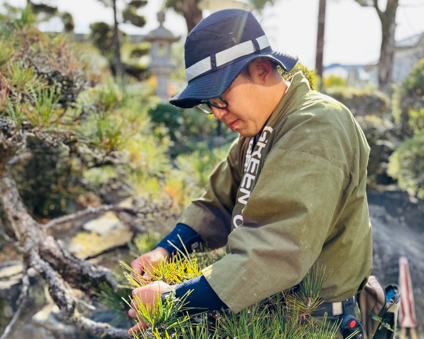 剪定作業の様子